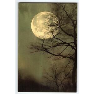 Vintage Photochrome Postcard Full Moon Night with Bare Tree Branches
